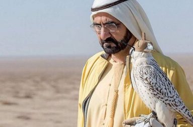 وثائقي قصتي عن الشيخ محمد بن راشد آل مكتوم