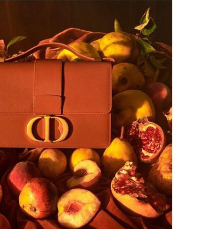 شنط ديور الاصليه