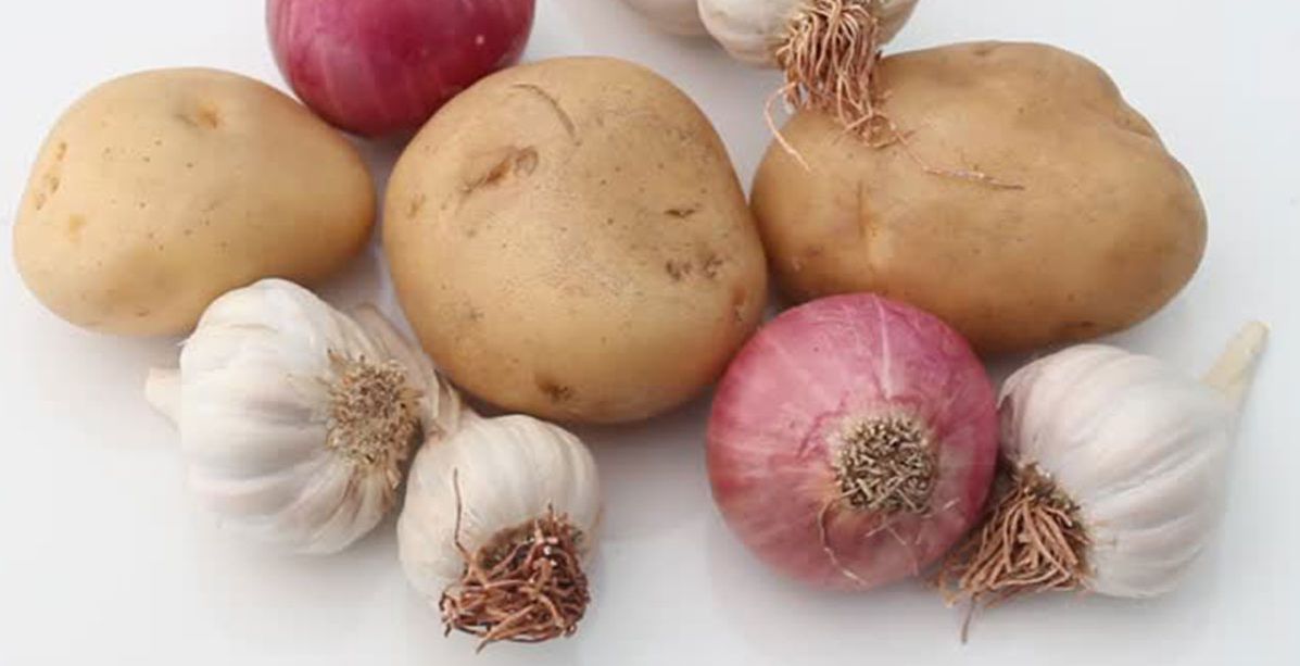 لماذا لا تحفظ البطاطس والبصل والثوم في الثلاجة؟