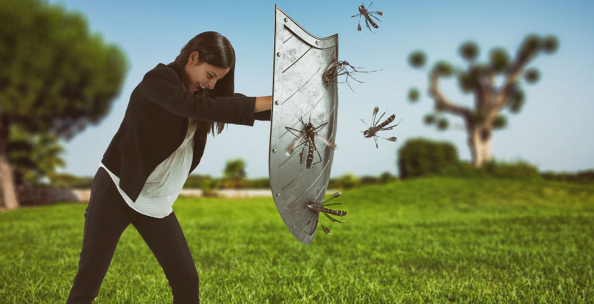 خطوات تنظيف البيت من الحشرات