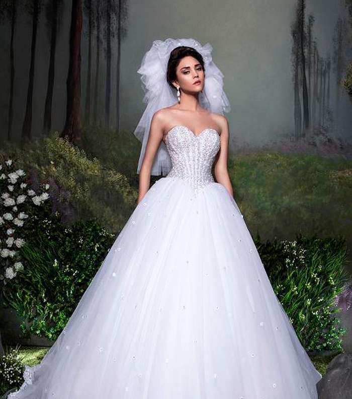 صور فستان عروس انيق