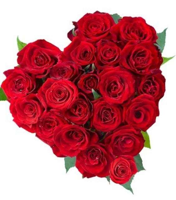 بالموديلات صور باقة ورد