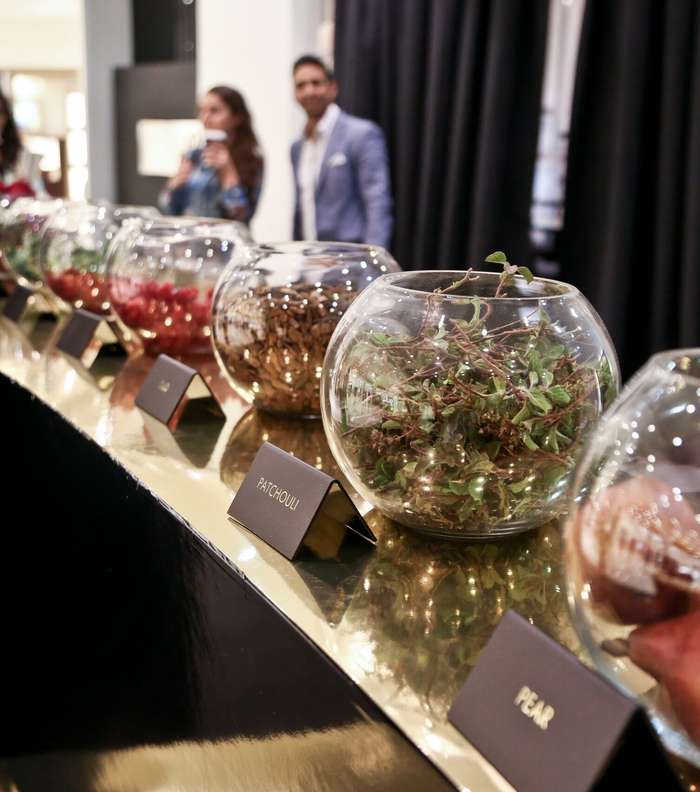 مكوّنات عُطر غوتشي عود الفاخر