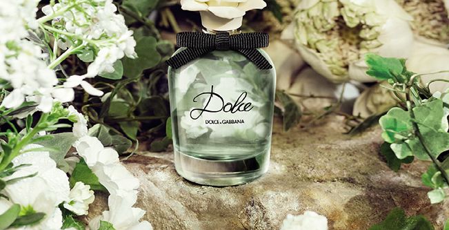عطر Dolce & Gabbana الجديد