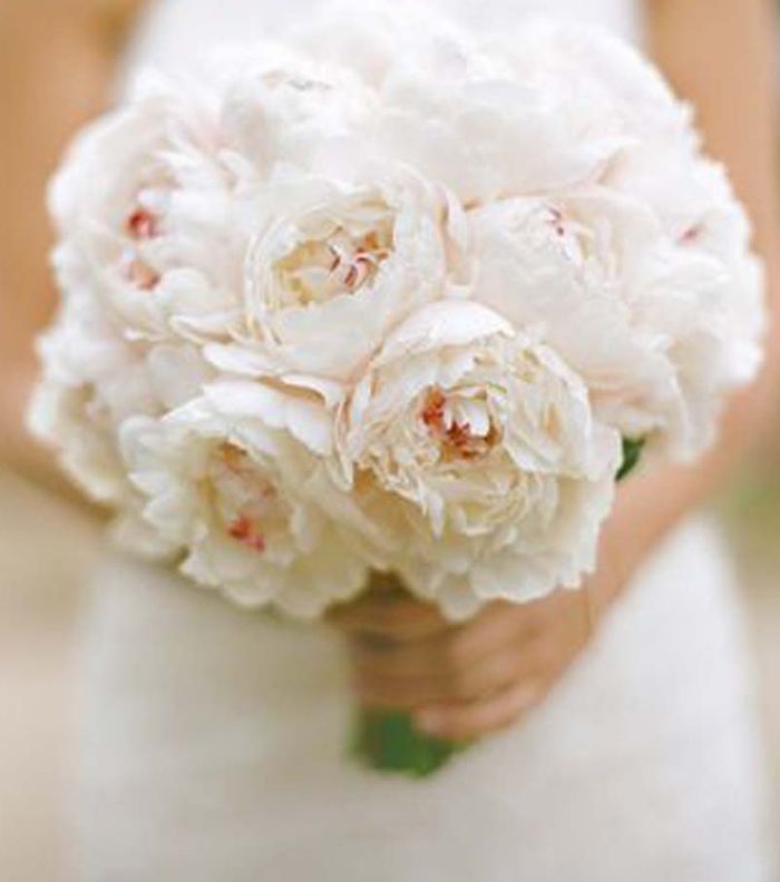 صور مسكات عرايس 2015