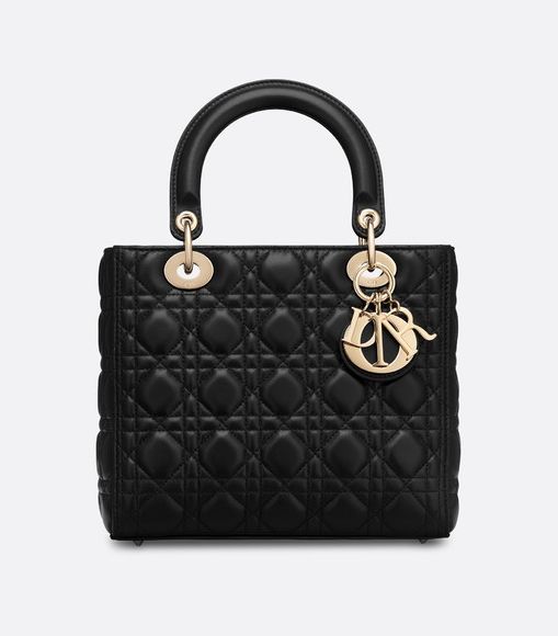 صور اجمل شنط ديور الجديده