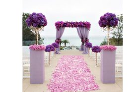 مداخل استقبال زواجات