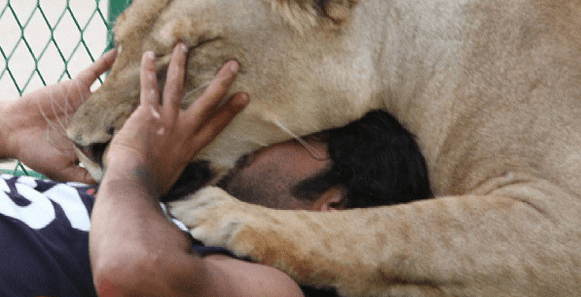 أخطر مدرب أسود في الخليج يتصدر الصحف العالمية