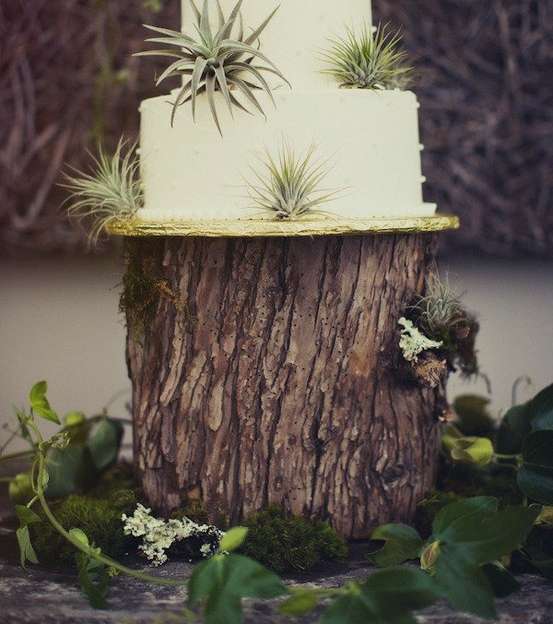 كعكة الزفاف المثبتّة على جذع الشجرة 