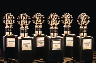 إشعاع الذهب مع مجموعة Gold Collection من Roberto Cavalli