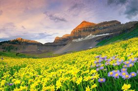 أينما ذهبت، اذهبي بكلّ قلبك!