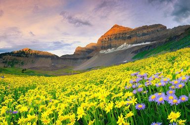 أينما ذهبت، اذهبي بكلّ قلبك!