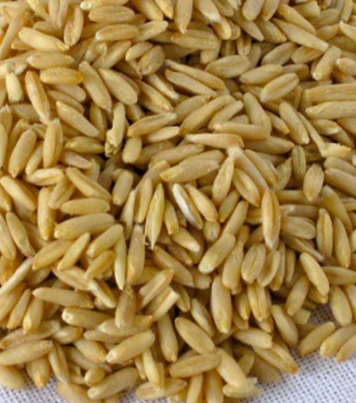 اطعمة من اجل علاج الامساك