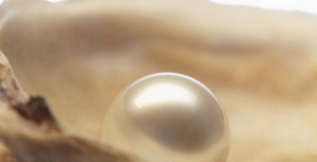 العثور على أقدم لؤلؤة في العالم