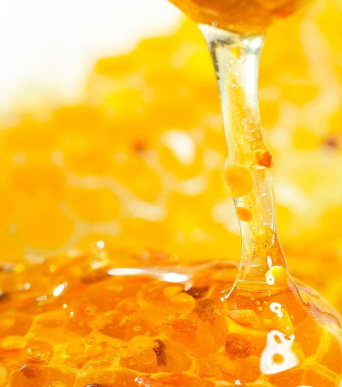 الخطوة الثالثة: العسل