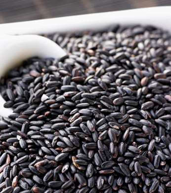 black-rice-7-9-2010
