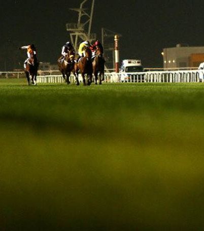الخيول في مسابقة كأس دبي العالمية للخيول 2013
