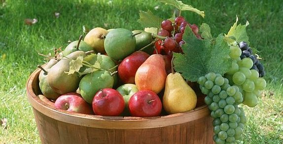 سلّة من فاكهة الصيف للعناية ببشرتك!