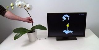 النباتات والتكنولوجيا