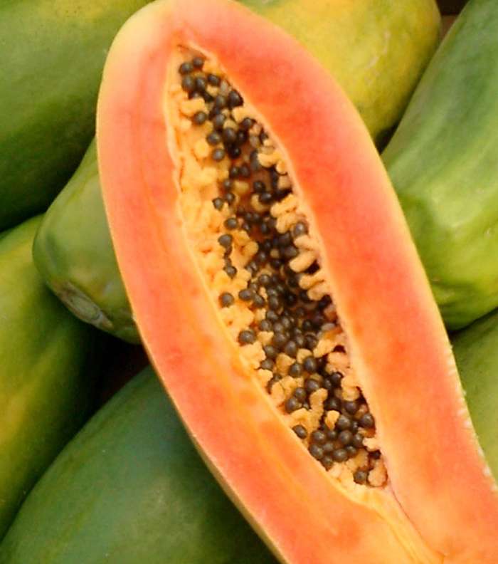 أطعمة من اجل تفتيح المنطقة الحساسه