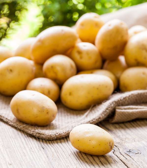 البطاطا لإزالة الهالات السوداء