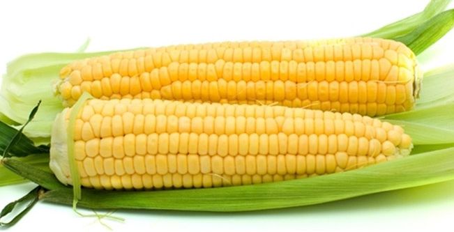 الذرة 