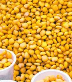الخطوة الأولى: الترمس