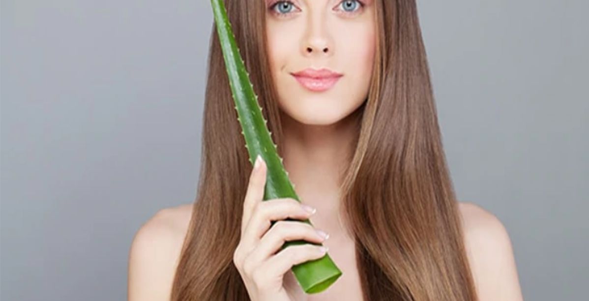 فوائد الصبار للشعر وطرق استخدامه
