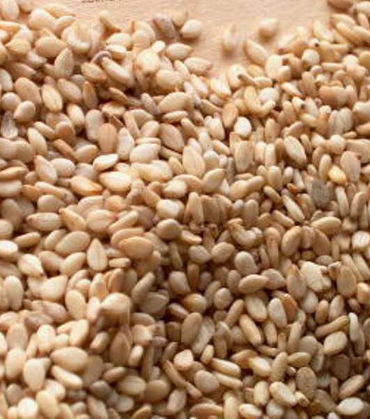 حبوب السمسم 