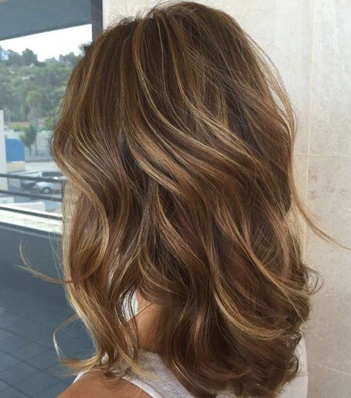 الوان الشعر الشتويه