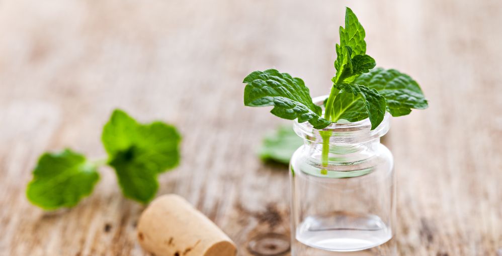 زيت النعناع 