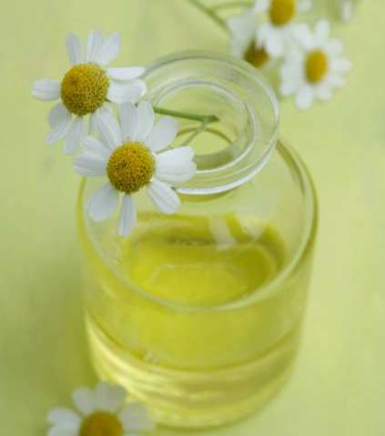 الخطوة الرابعة: زيت البابونج