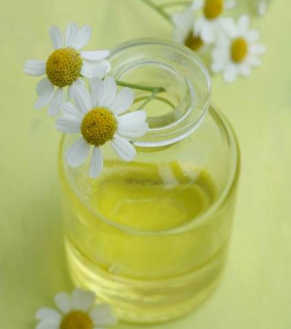 الخطوة الرابعة: زيت البابونج