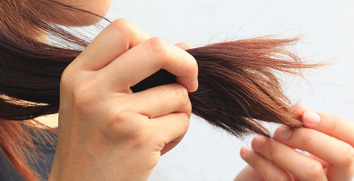 طريقة استعمال افضل جهاز تقصف الشعر