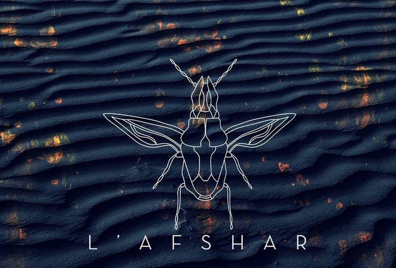 كل ما تريدين معرفته من اخبار ومعلومات وصور ووثائق عن  L'afshar