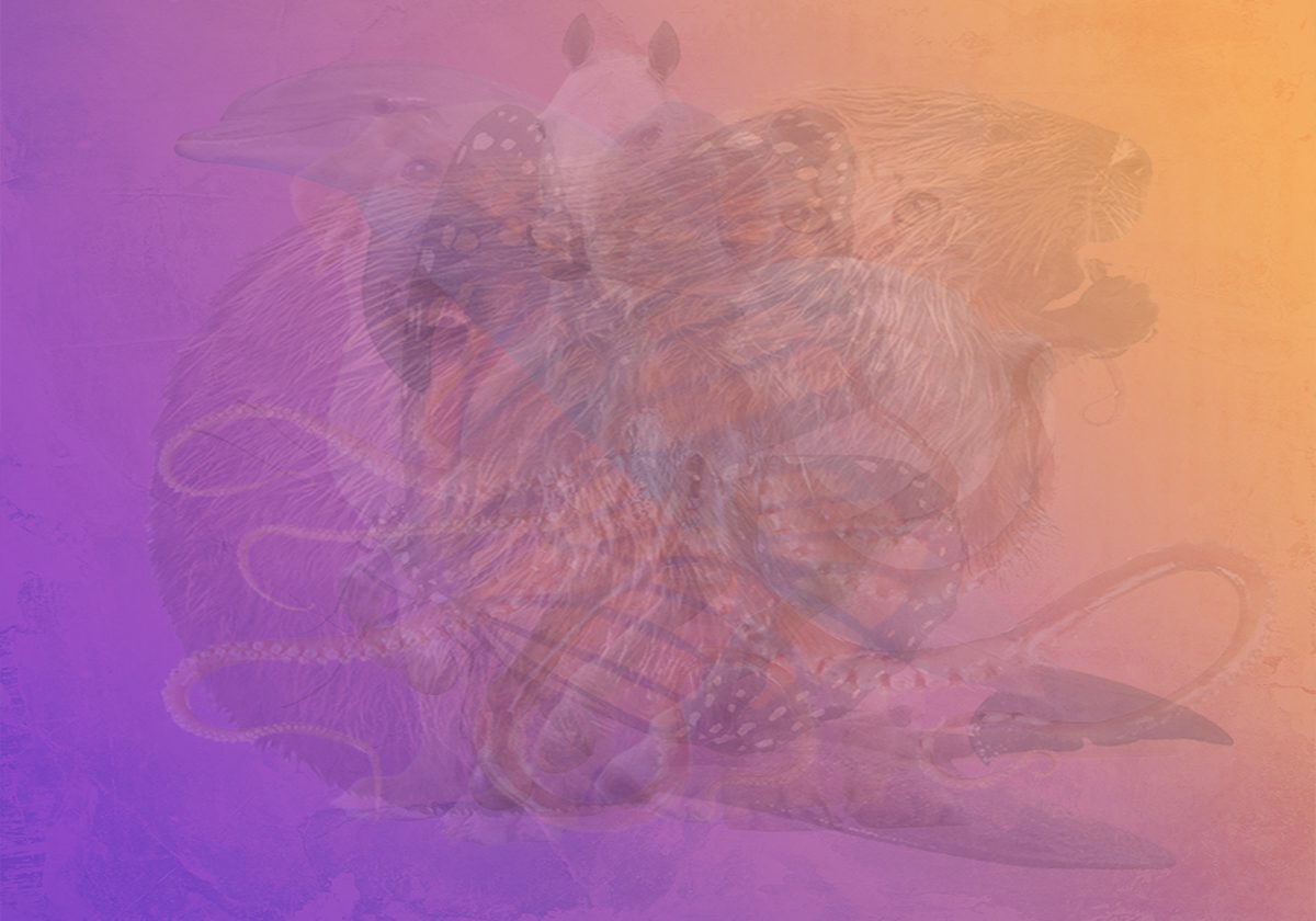 اكتشفي من أنت في الحقيقة