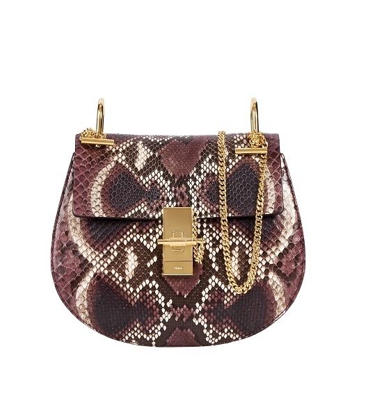 حقيبة صغيرة بطبعة رائعة من Chloe