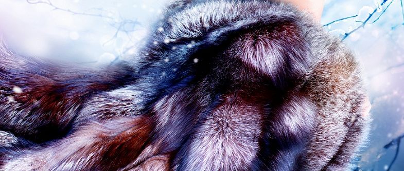 Clothing, Apparel, Person