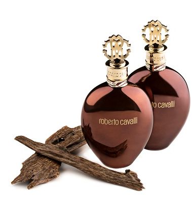 عطرا Oud Edition وTiger Oud من روبيرتو كافالي