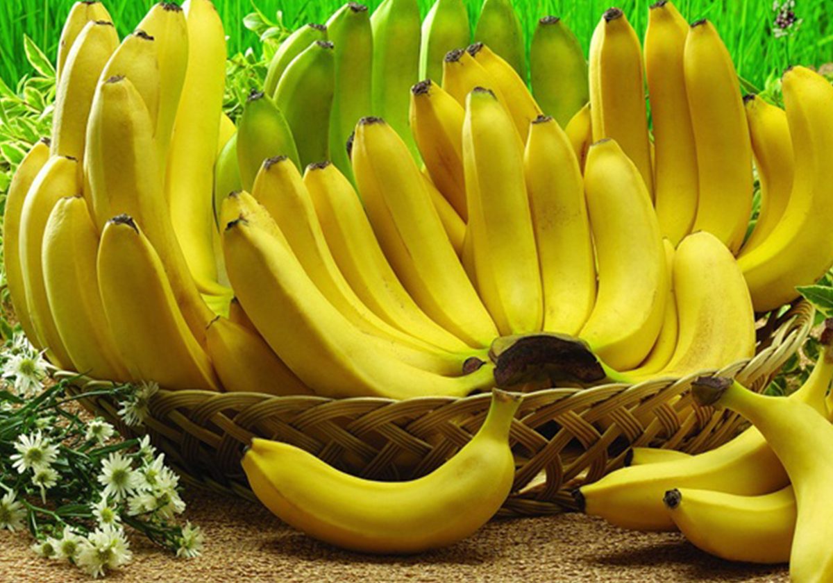 فوائد الموز للشعر 