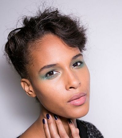 الأزرق الجليدي يحضر في ربيع 2014 