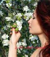 أفضل صبغات طبيعية بالحناء