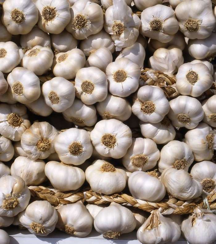 معالجة تساقط الشعر وتنقية البشرة