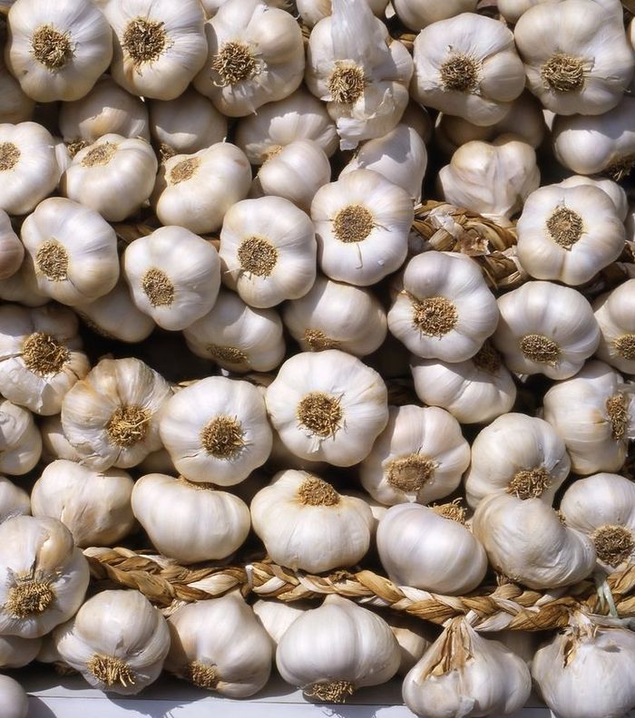 معالجة تساقط الشعر وتنقية البشرة