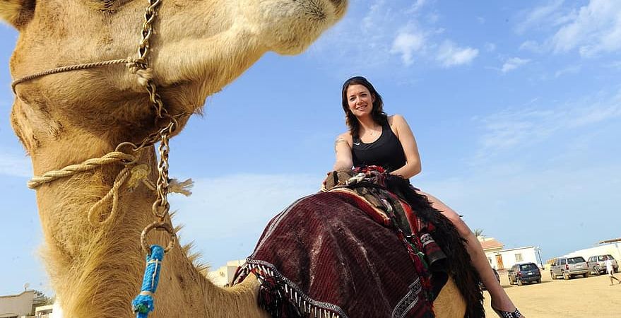 رؤية الجمل في المنام