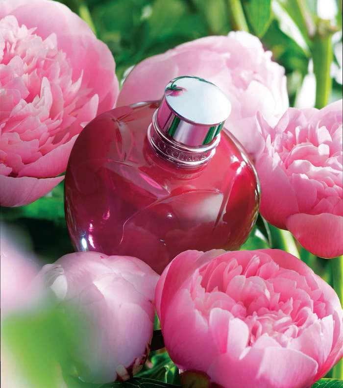 عطر لوكسيتان بشذى الفاوانيا الرائع