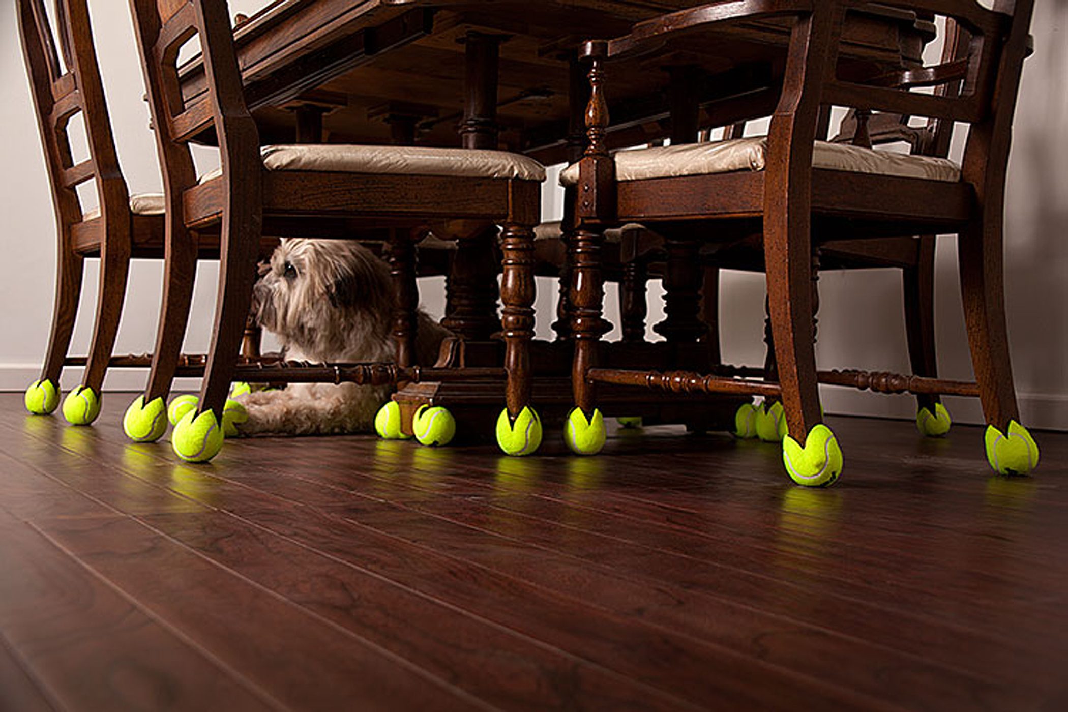 كرة المضرب تحمي لك الارضية في منزلك