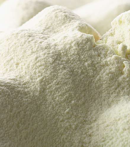 الخطوة الأولى: الحليب الجاف