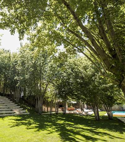 صورة لحديقة كبيرة تحيط بالمنزل الضحم للمصمم العالمي ايلي صعب
