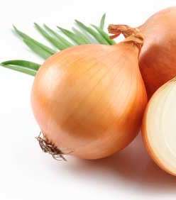 خلطة البصل وزيت الزيتون